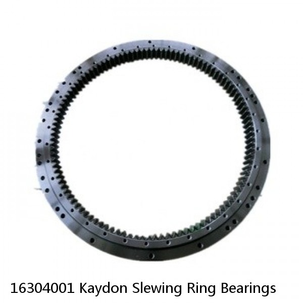 16304001 Kaydon Slewing Ring Bearings