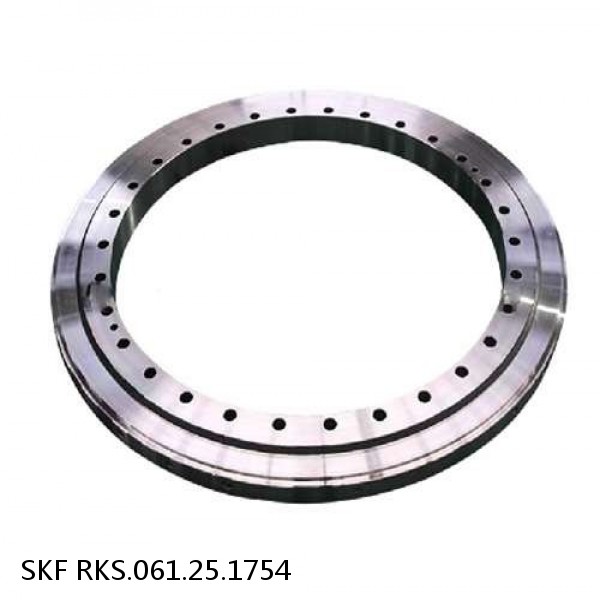 RKS.061.25.1754 SKF Slewing Ring Bearings