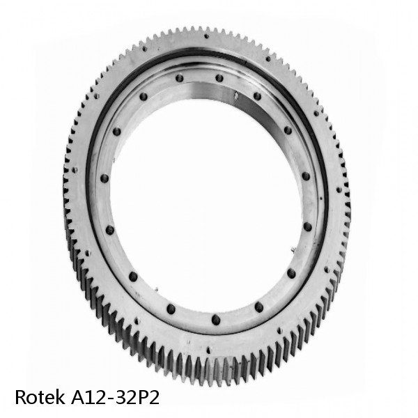 A12-32P2 Rotek Slewing Ring Bearings