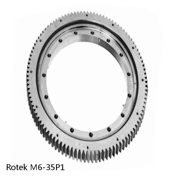 M6-35P1 Rotek Slewing Ring Bearings