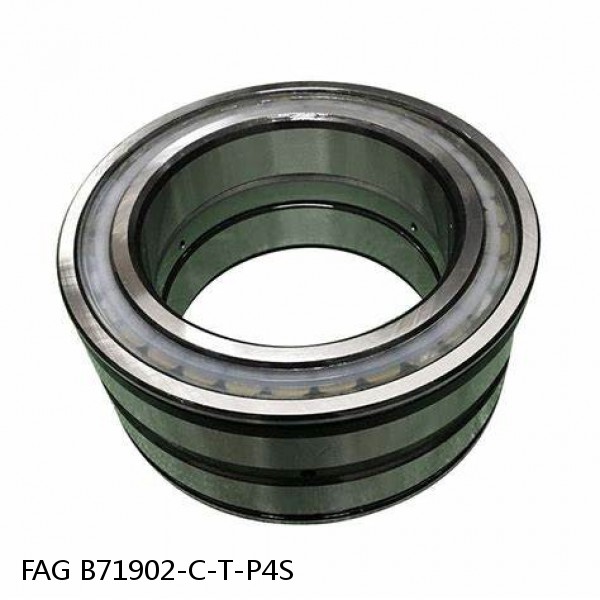 B71902-C-T-P4S FAG high precision bearings