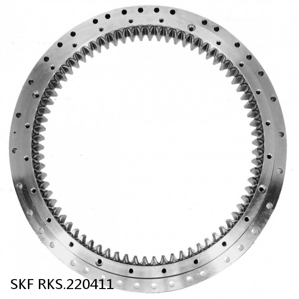 RKS.220411 SKF Slewing Ring Bearings