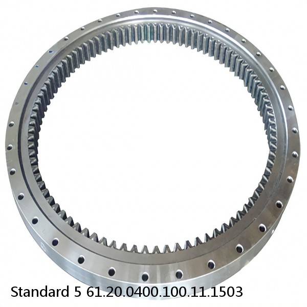 61.20.0400.100.11.1503 Standard 5 Slewing Ring Bearings