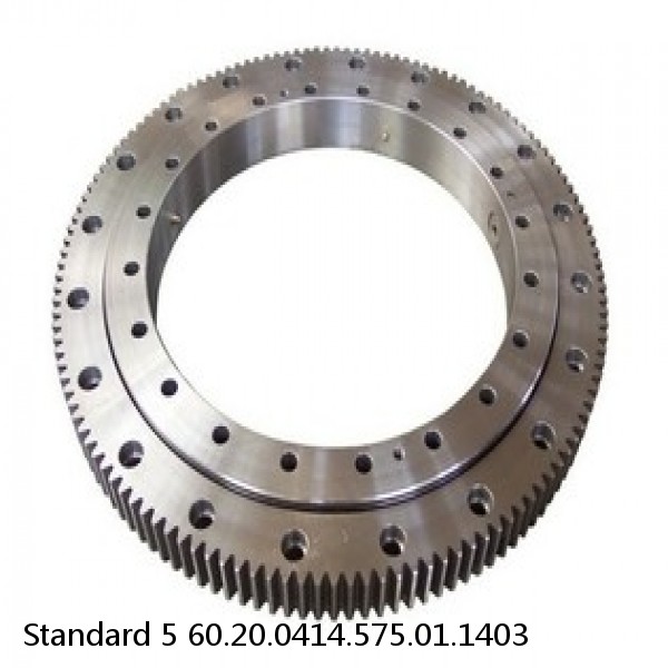 60.20.0414.575.01.1403 Standard 5 Slewing Ring Bearings