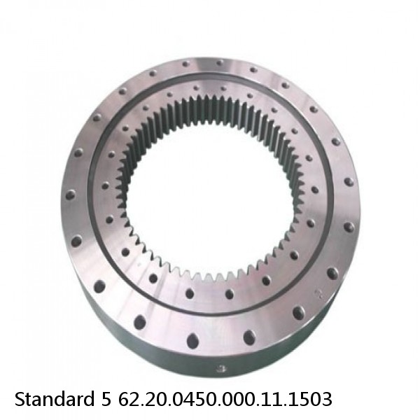 62.20.0450.000.11.1503 Standard 5 Slewing Ring Bearings