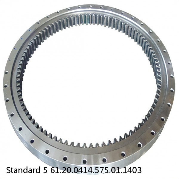 61.20.0414.575.01.1403 Standard 5 Slewing Ring Bearings