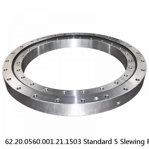 62.20.0560.001.21.1503 Standard 5 Slewing Ring Bearings