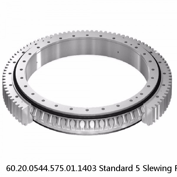 60.20.0544.575.01.1403 Standard 5 Slewing Ring Bearings