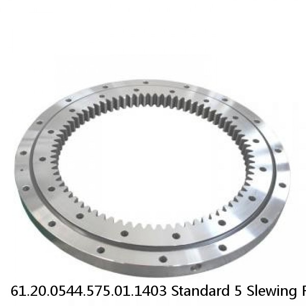 61.20.0544.575.01.1403 Standard 5 Slewing Ring Bearings