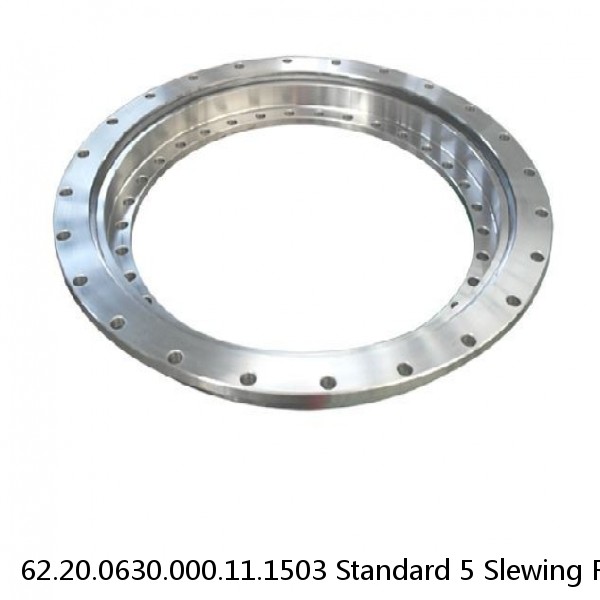 62.20.0630.000.11.1503 Standard 5 Slewing Ring Bearings