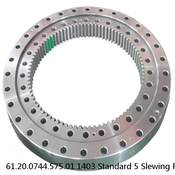 61.20.0744.575.01.1403 Standard 5 Slewing Ring Bearings