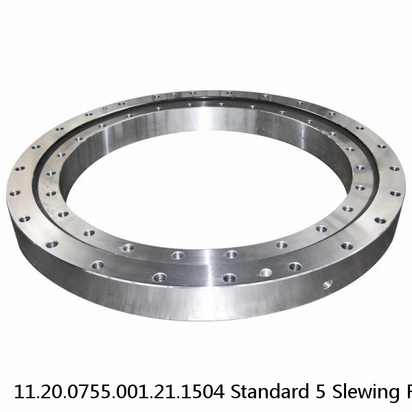 11.20.0755.001.21.1504 Standard 5 Slewing Ring Bearings