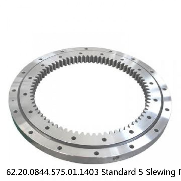 62.20.0844.575.01.1403 Standard 5 Slewing Ring Bearings