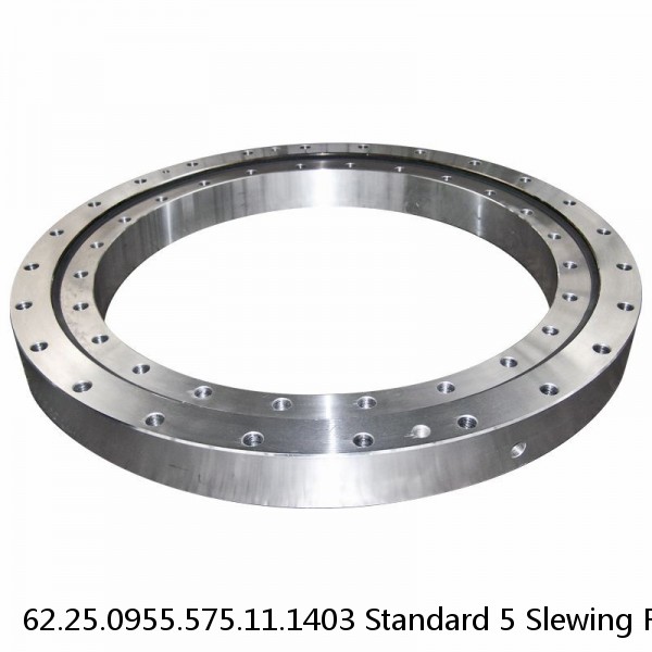 62.25.0955.575.11.1403 Standard 5 Slewing Ring Bearings