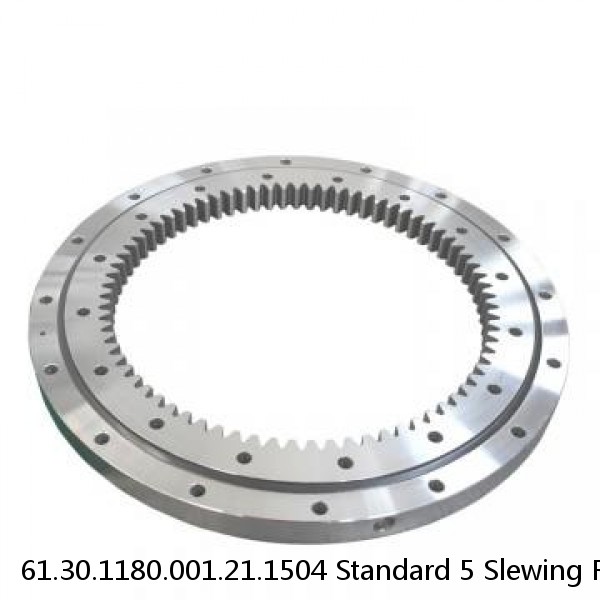 61.30.1180.001.21.1504 Standard 5 Slewing Ring Bearings